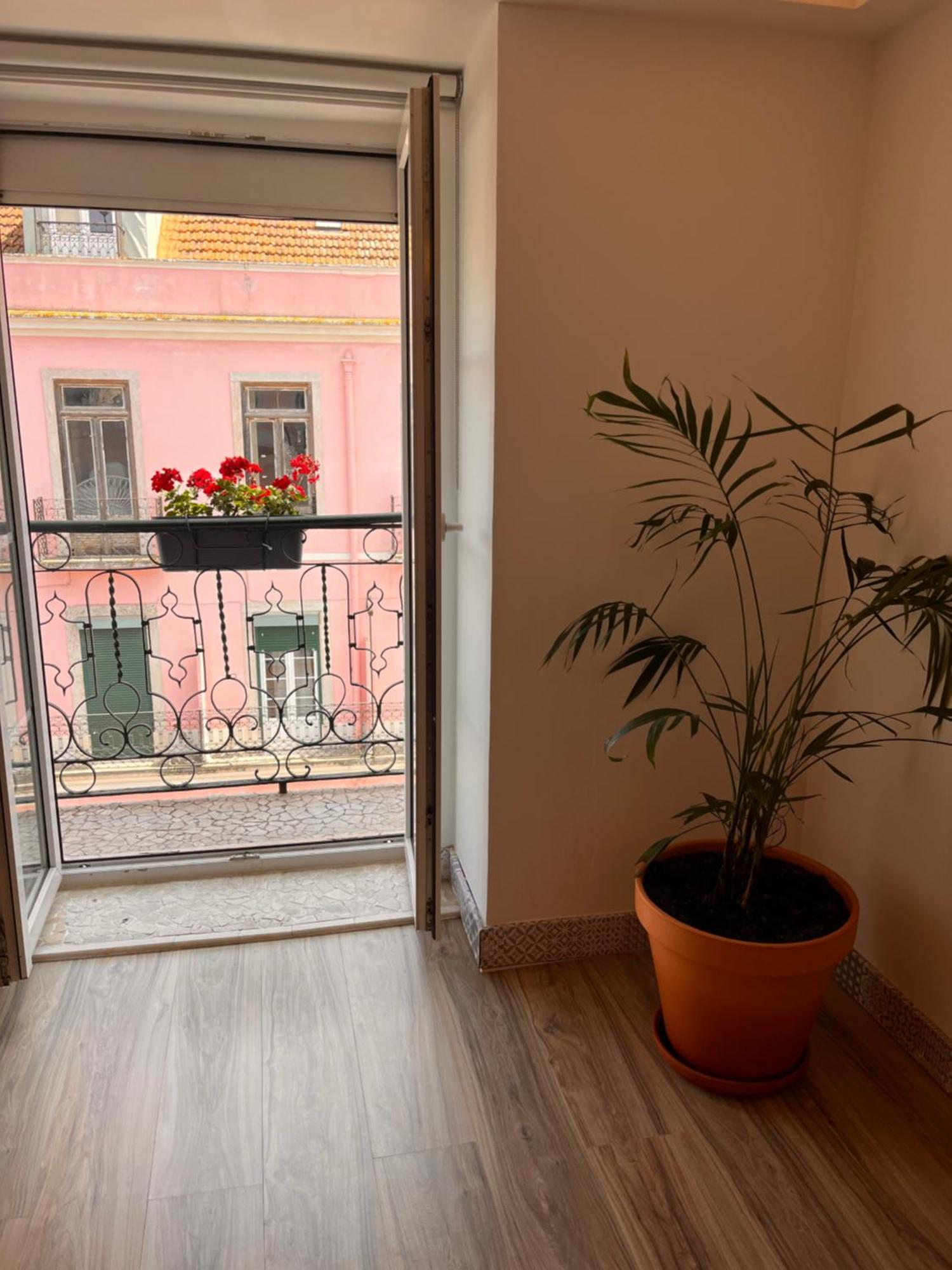 Apartment Botanical Gardens Principe Real
