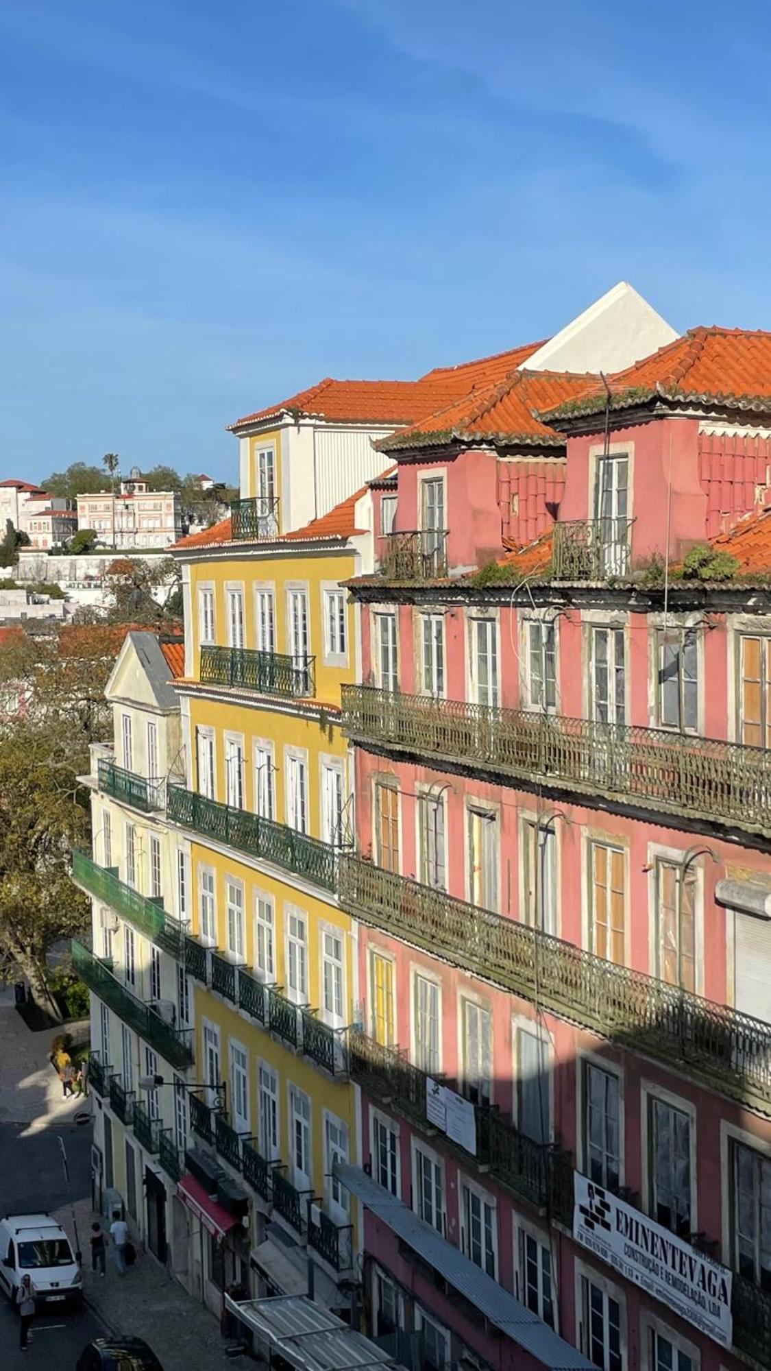 Botanical Gardens Principe Real Lisbon